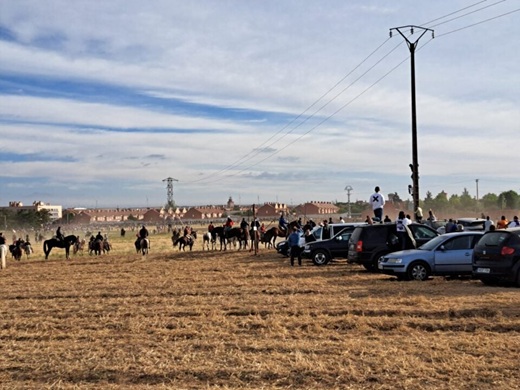 Quinto encierro tradicional de Medina del Campo // Fuente: La Voz
